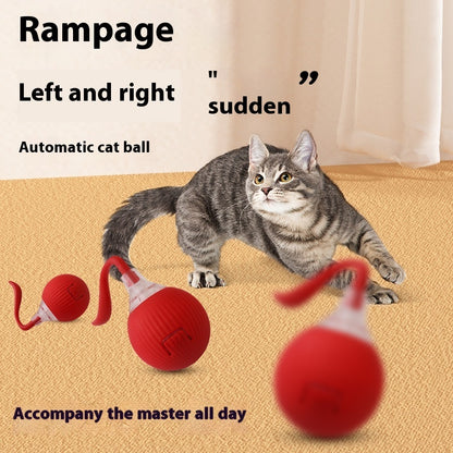 Interactive Cat Toy Ball Super Drive Cat Rolling Ball Pets Gym From House