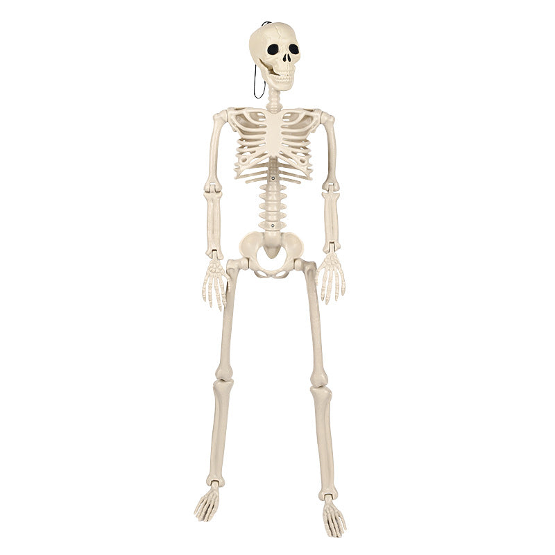 a16b407a816f0bd0b1386c11ef3fecd6