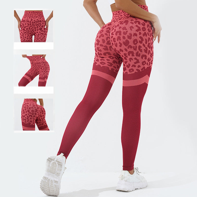 Leopard Print Fitness Pants For Women High Waist Butt Lifting Women Gym From House