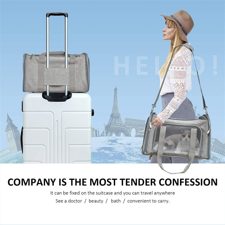 Portable And Breathable Small Dog And Cat Portable Pet Travel Bag Pets Gym From House
