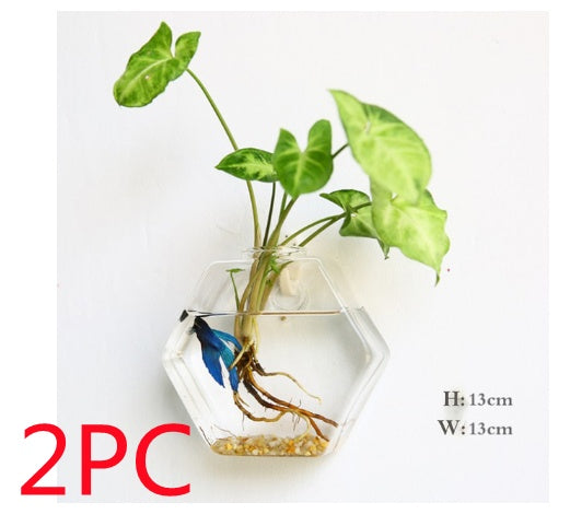 Fashion Wall Hanging Glass Flower Vase Terrarium Wall Fish Tank Garden dealsniper-net Hexagon 2PC