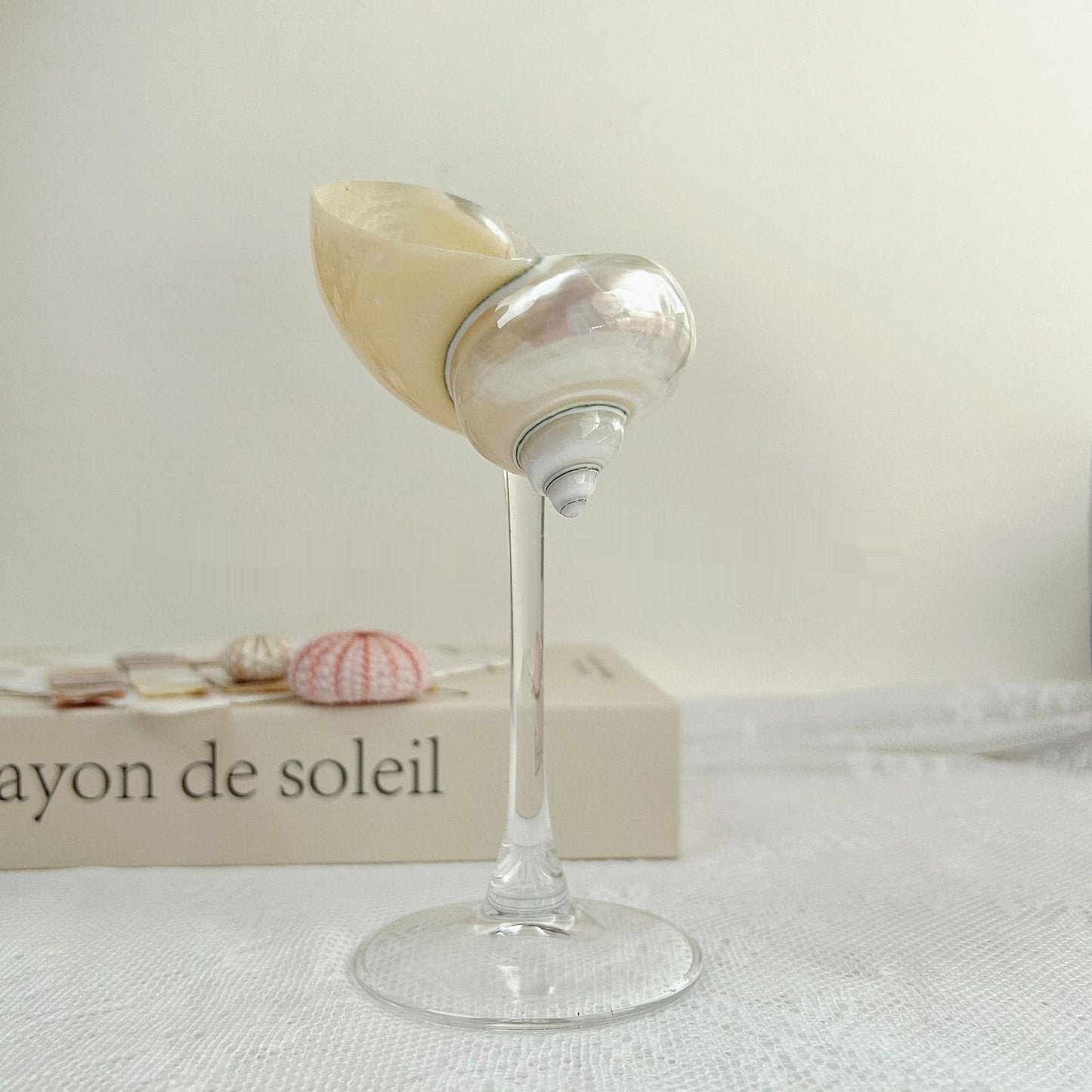 Ins Handmade Shell Conch Wine Glass Aromatherapy Dish Kitchen DealSniper.net