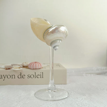 Ins Handmade Shell Conch Wine Glass Aromatherapy Dish Kitchen DealSniper.net