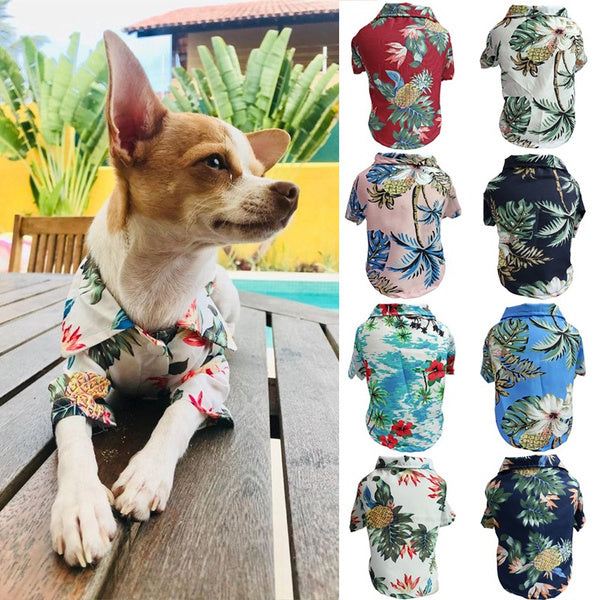 Dog Spring And Summer Thin Shirt Corgi Blue Cat Clothes Pets DealSniper.net