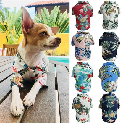 Dog Spring And Summer Thin Shirt Corgi Blue Cat Clothes Pets DealSniper.net