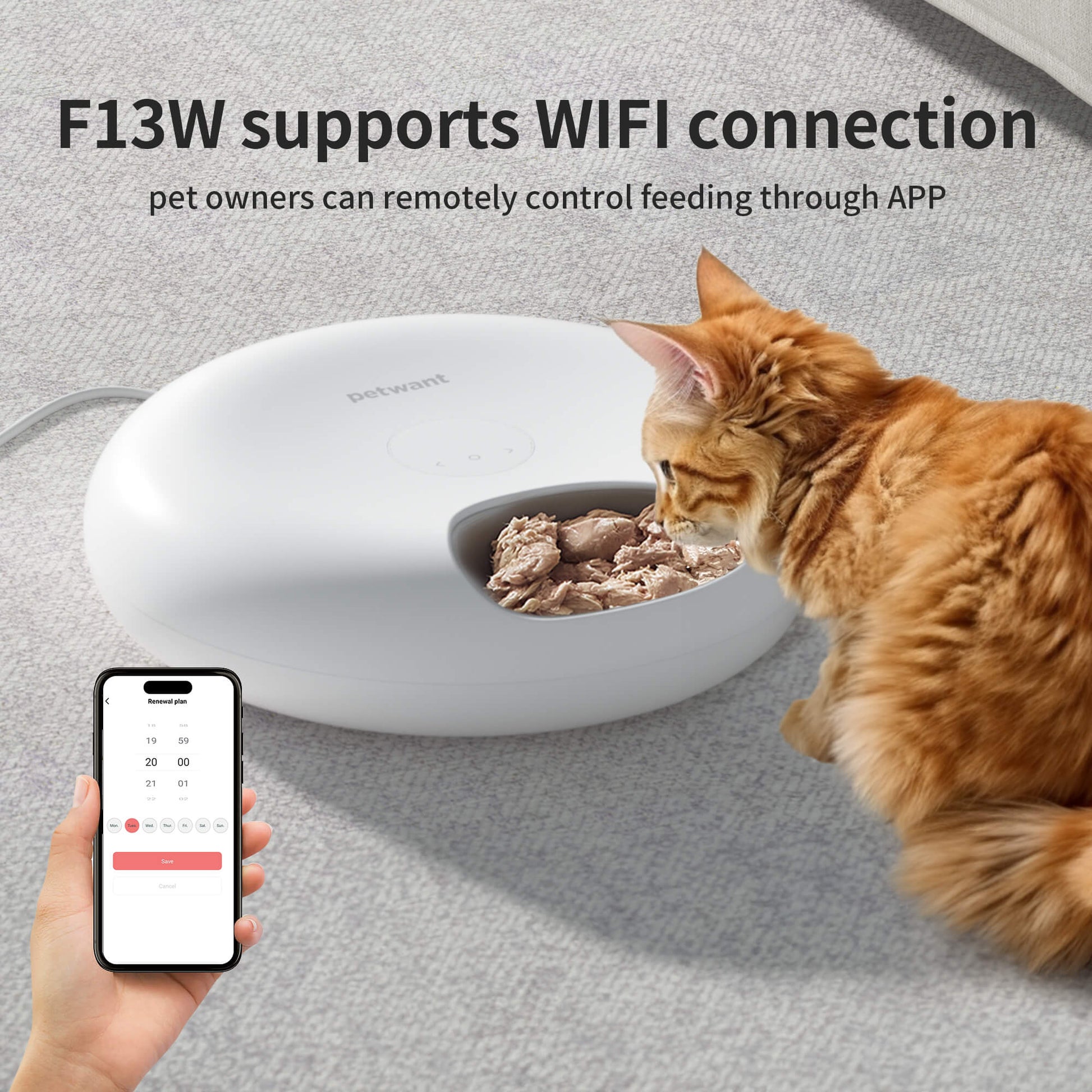 Donut Frost WiFi 6 Meal Automatic Cat Food Dispenser Pets Gym From House