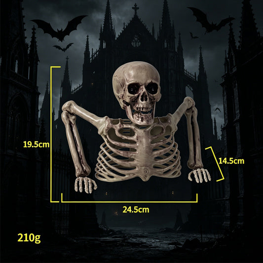 Cross-border Halloween Skeleton Ornaments Half Skeleton Decoration Holidays Gym From House Z371 Half skeleton bodygrayishwhite