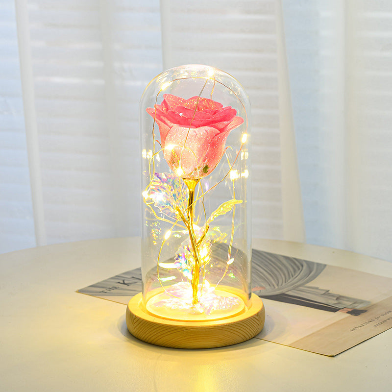 Valentines Day Gift For Girlfriend Eternal Rose Flowers LED Light In Glass Deals DealSniper.net