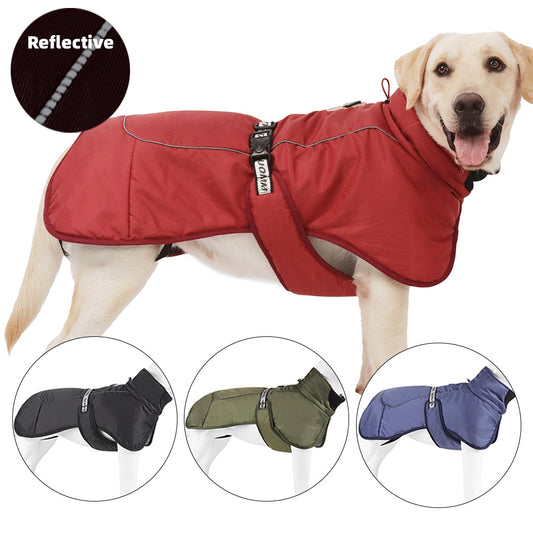 New Dog Clothes Cloak Style Thickened And Warm Pet Keeping Pets Gym From House