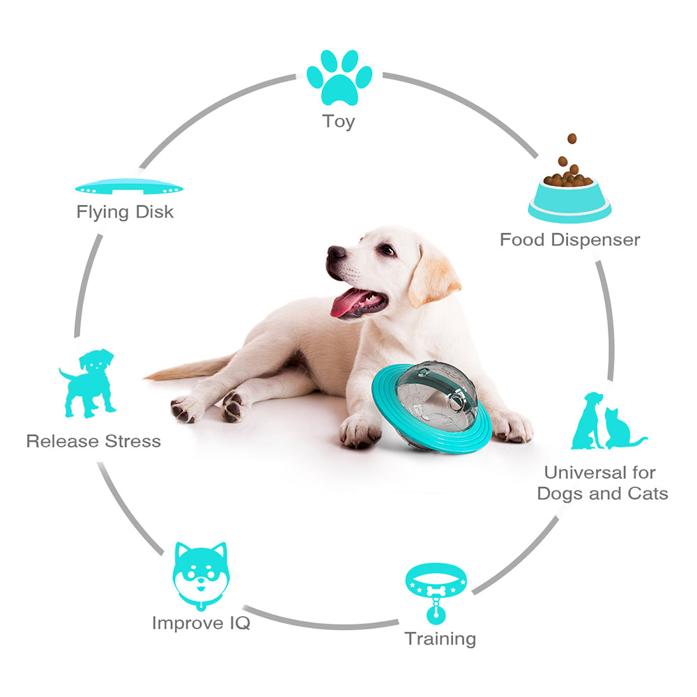Dog Interactive Food Leaking Dispensing Treat Ball Pets Gym From House