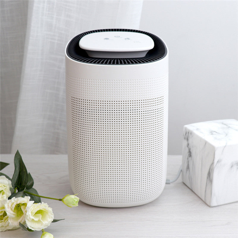 Home Fashion Small Air Purification Dehumidifier House dealsniper-net