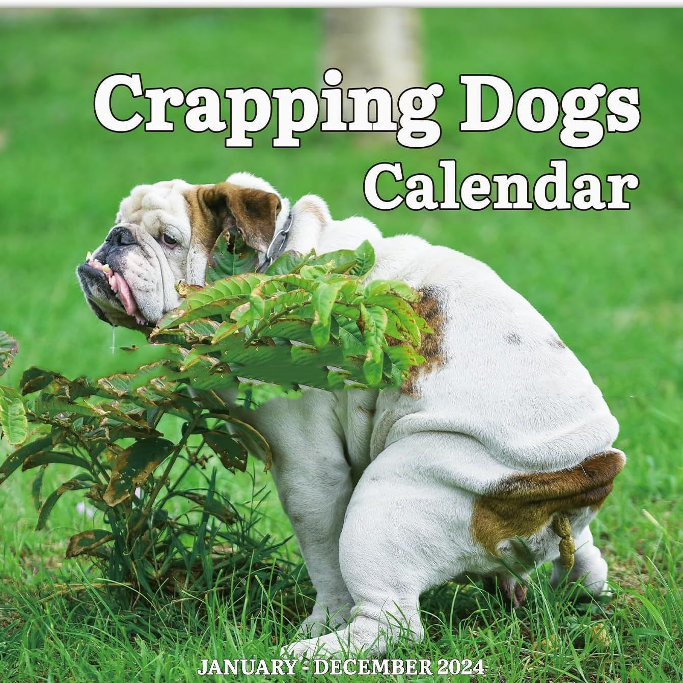 New Year Dog Poop Calendar House Gym From House