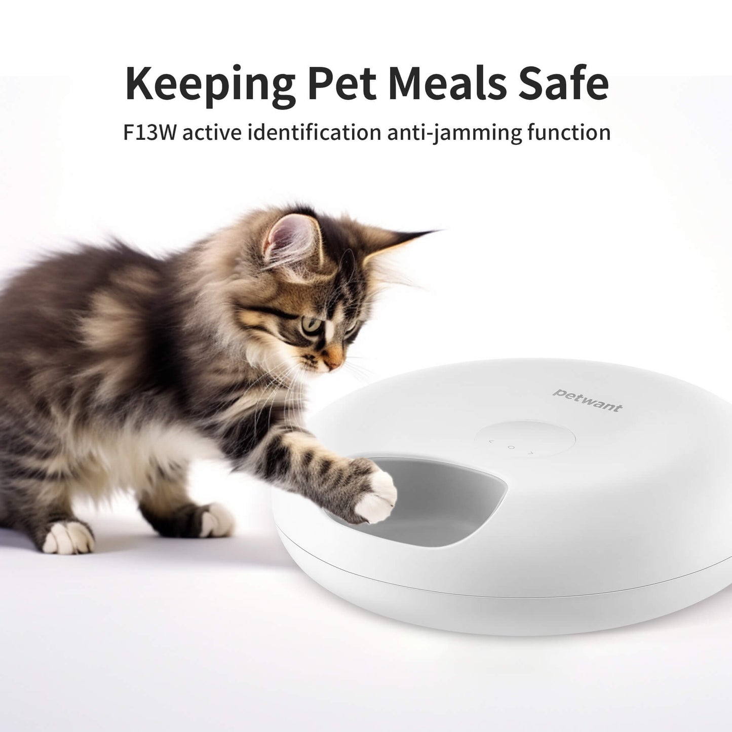 Donut Frost WiFi 6 Meal Automatic Cat Food Dispenser Pets Gym From House