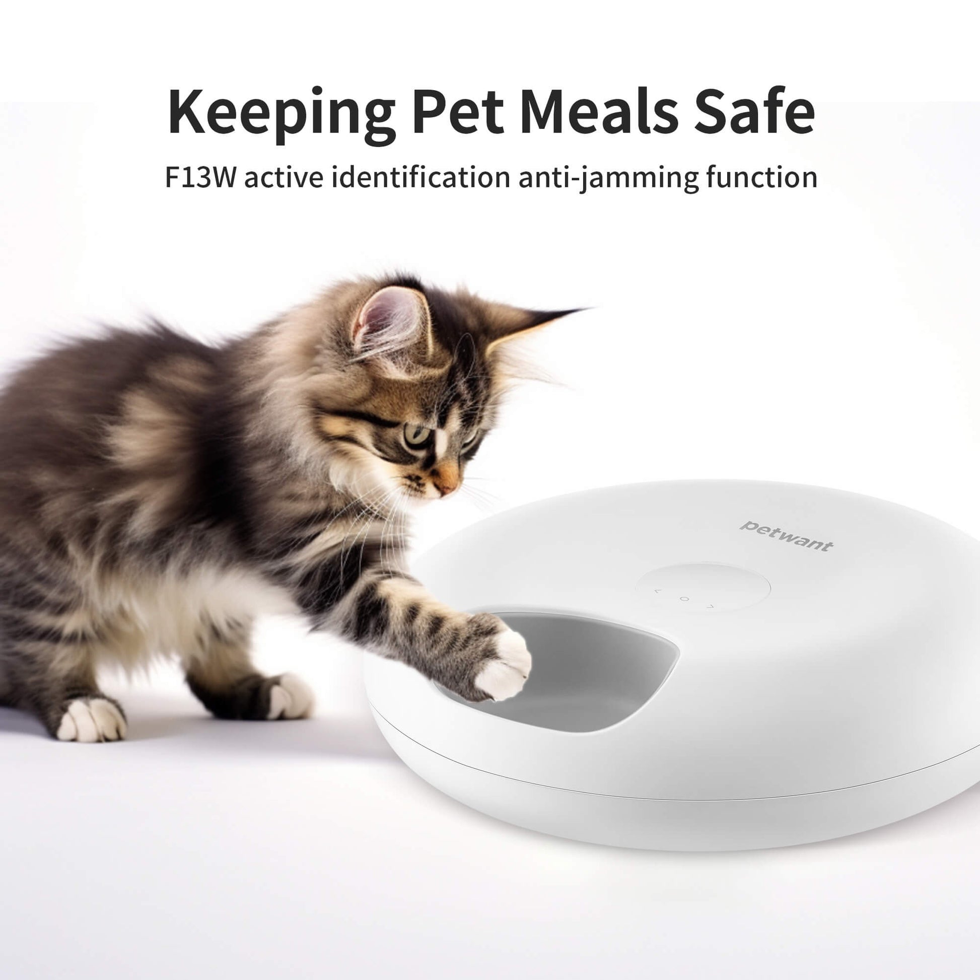 Donut Frost WiFi 6 Meal Automatic Cat Food Dispenser Pets Gym From House