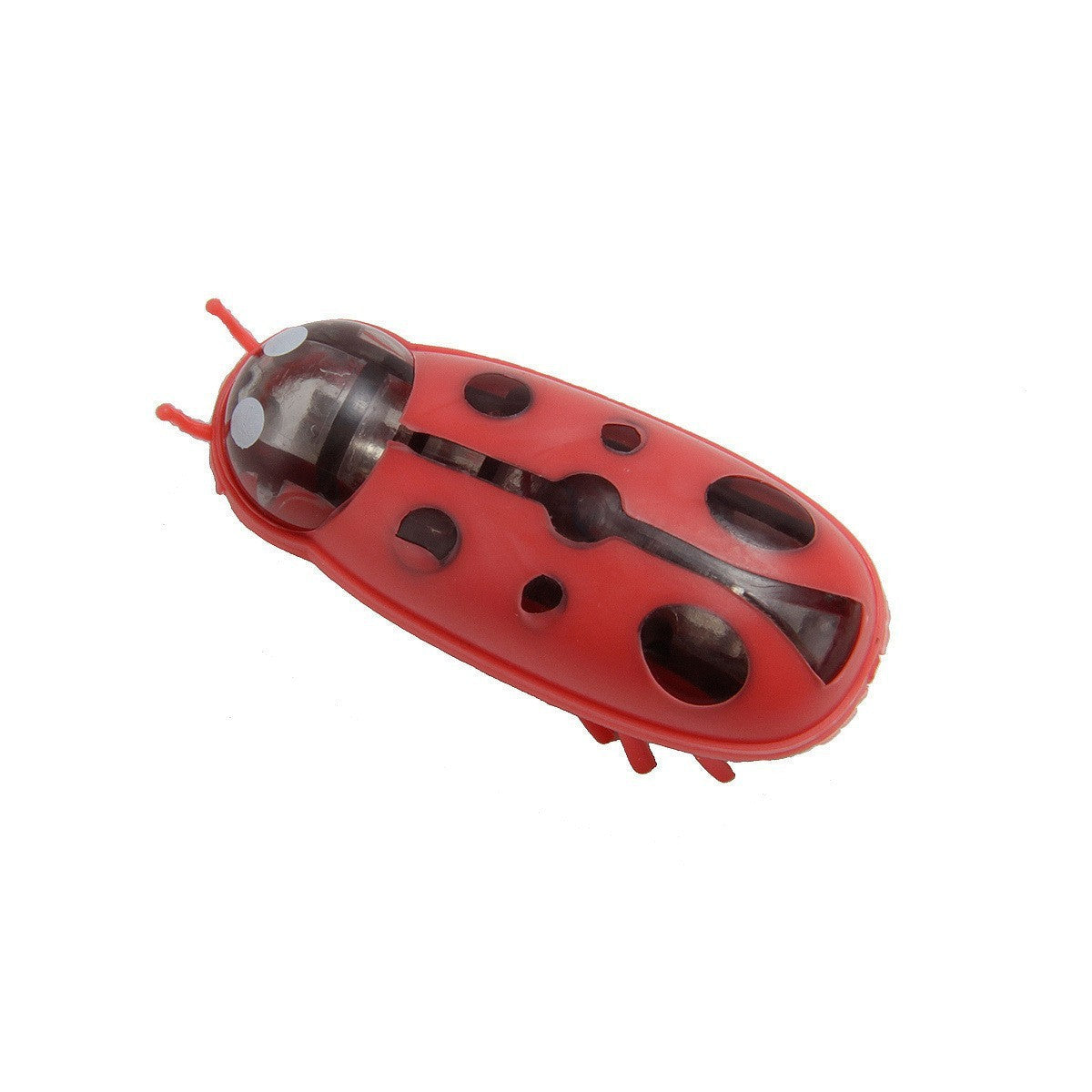 Electric Toothbrush Worm Miniature Nano Jumping Insects Pets DealSniper.net Ladybug Red And Black