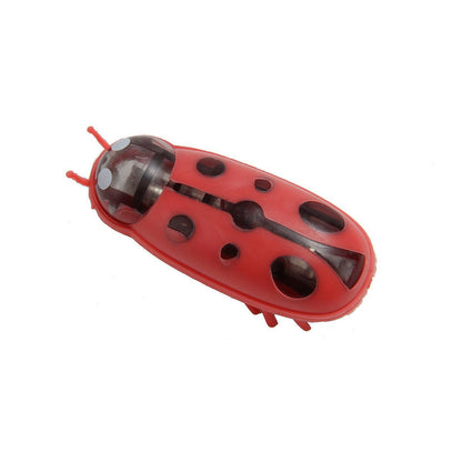 Electric Toothbrush Worm Miniature Nano Jumping Insects Pets DealSniper.net Ladybug Red And Black