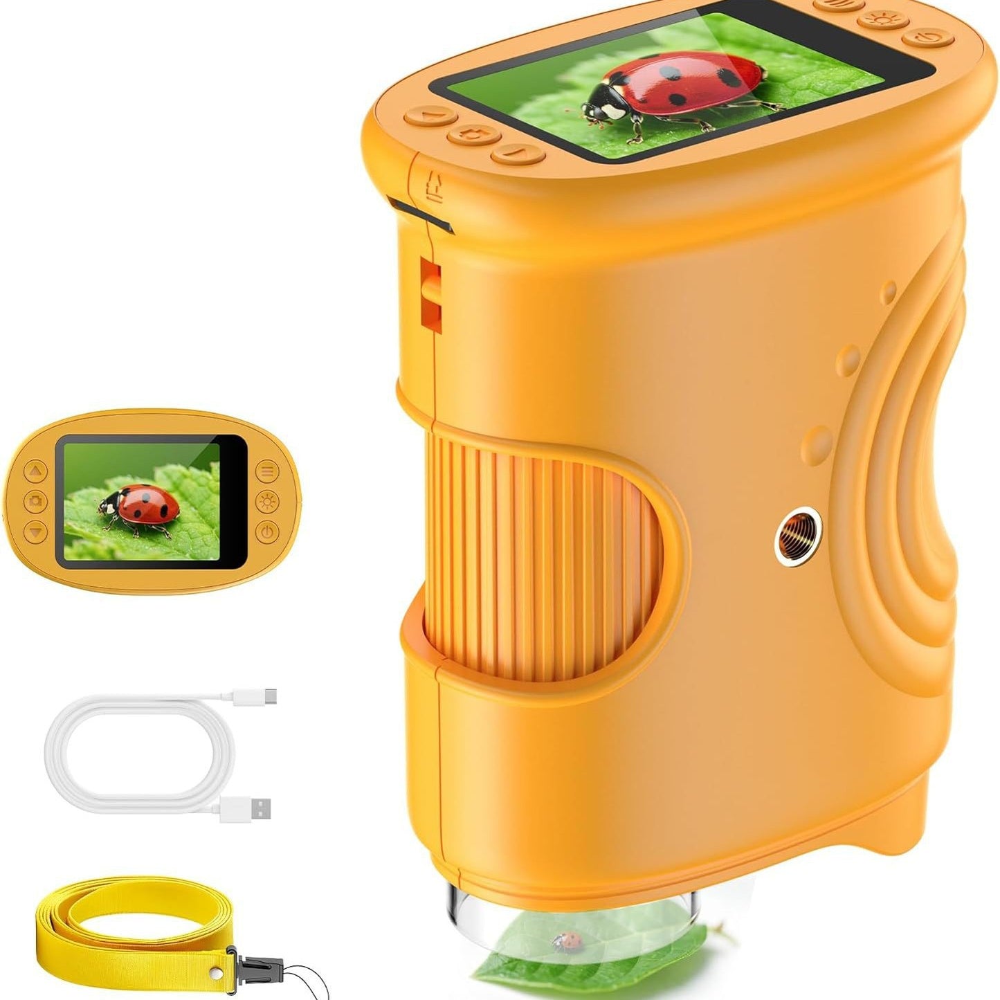 Outdoor Exploration Children's Handheld Digital Microscope Kids Gym From House