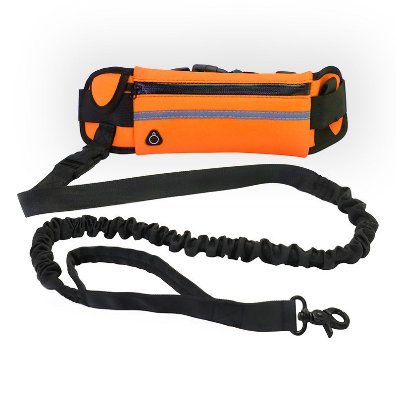 Hands Free Dog Leash Pet Walking And Training Belt Pets Gym From House Orange