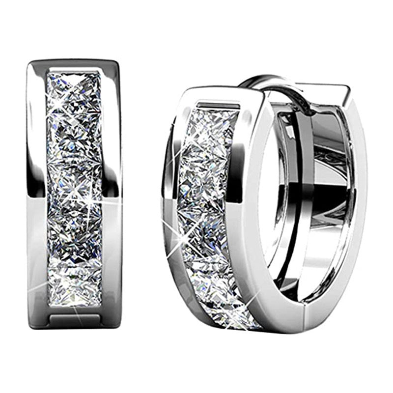 Temperament Wild Fashion Men And Women Earrings Jewelry Gym From House E2246 White Gold Color