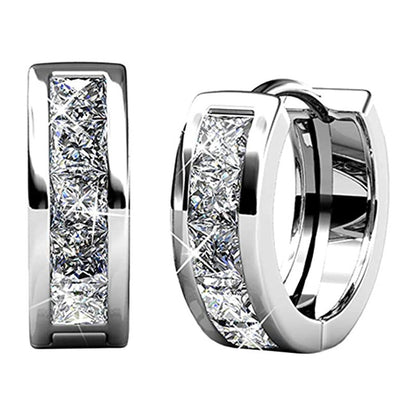 Temperament Wild Fashion Men And Women Earrings Jewelry Gym From House E2246 White Gold Color