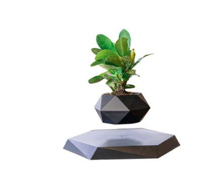 Nordic Modern Minimalist Maglev Marble Potted Plant Home Decor dealsniper-net Black2. AU