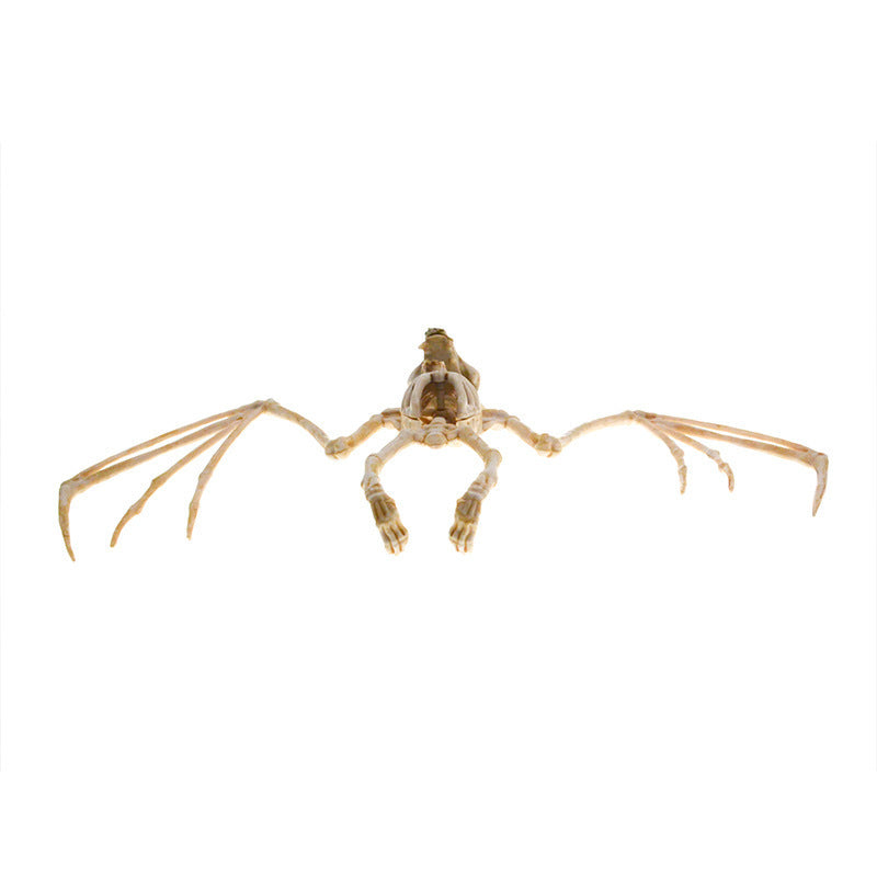 Halloween Horror Animal Bat Skeleton Decoration