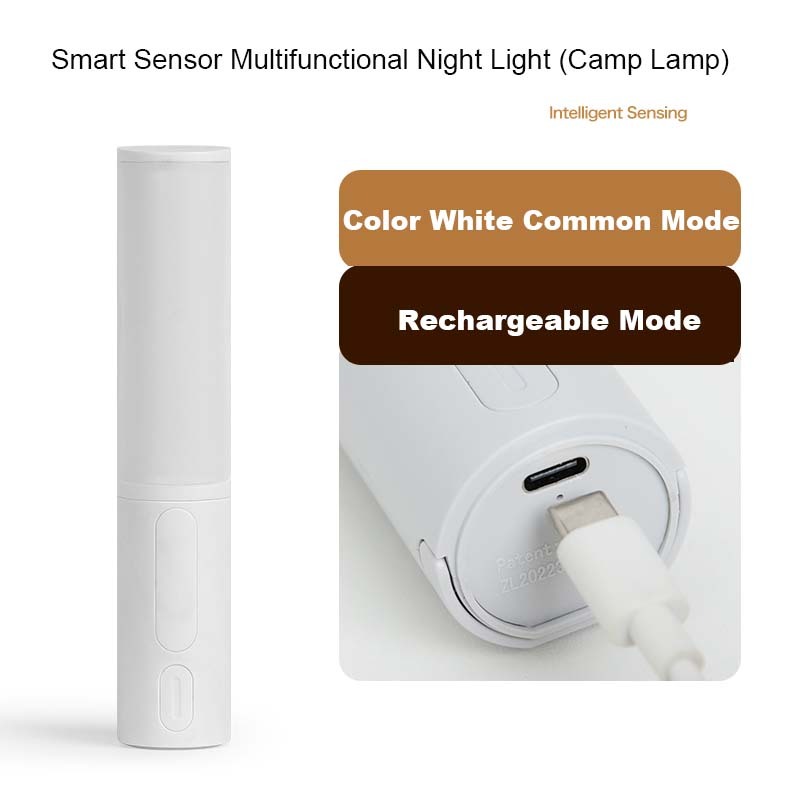 New Style Smart Human Body Induction Motion Sensor Home Decor dealsniper-net Ordinary White Charging