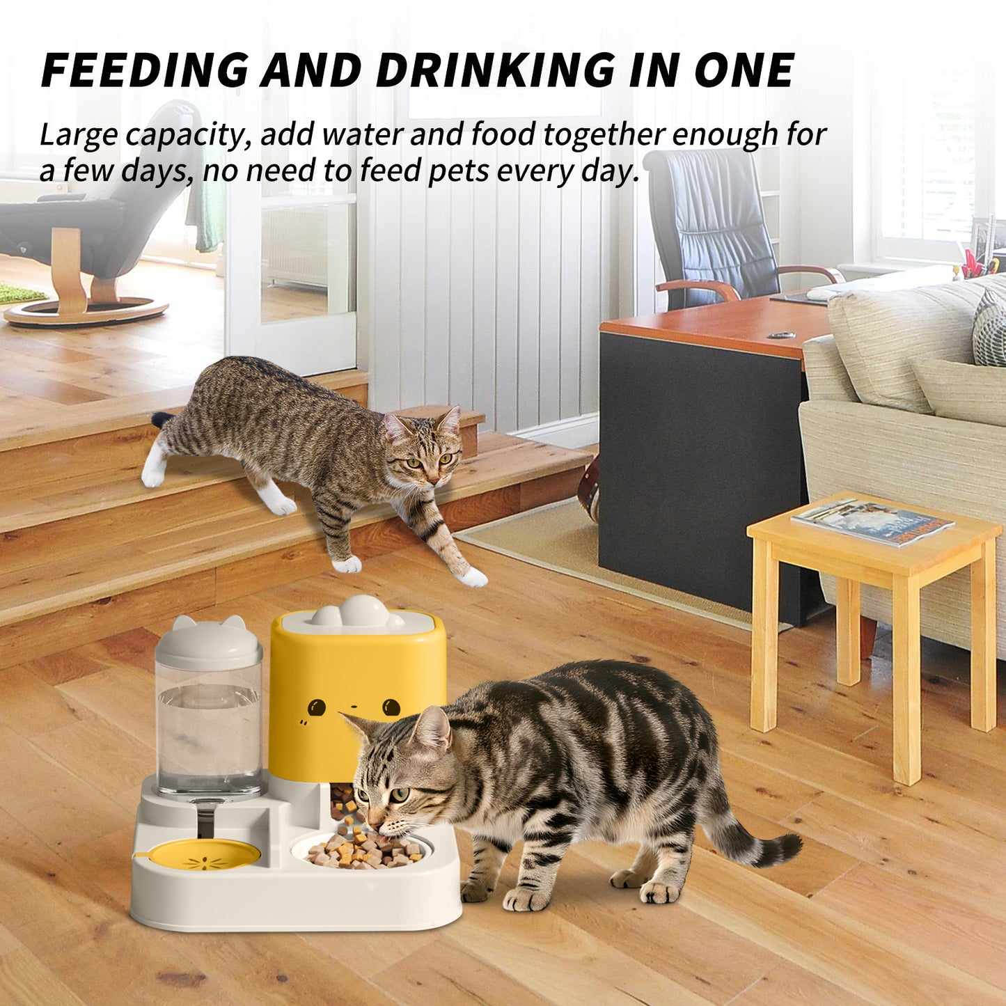 1 Piece Cartoon Cloud Cat Ear Feeding And Water Feeding Pets Gym From House