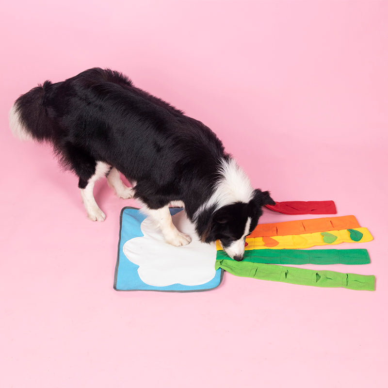Pet Rainbow Enrichment Mat Dog Play Snuffle Mat For Boredom Pets Gym From House