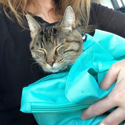 Cat Carrier Pouch Cat Carrier Bag Ai Recorder Gym From House