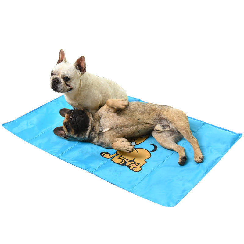 Dog Bite Prevention Mat In Summer Pets Gym From House