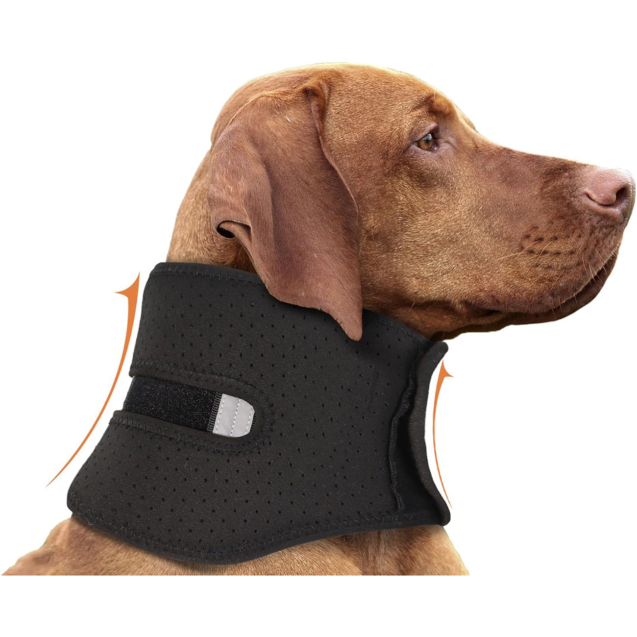 NEW Dog Support Collar Collar Anti-licking Sprained Pets Gym From House