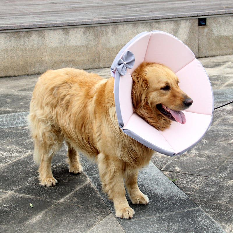 Pet Supplies Dog Sick Care Collar Pets Gym From House Pink 2XL
