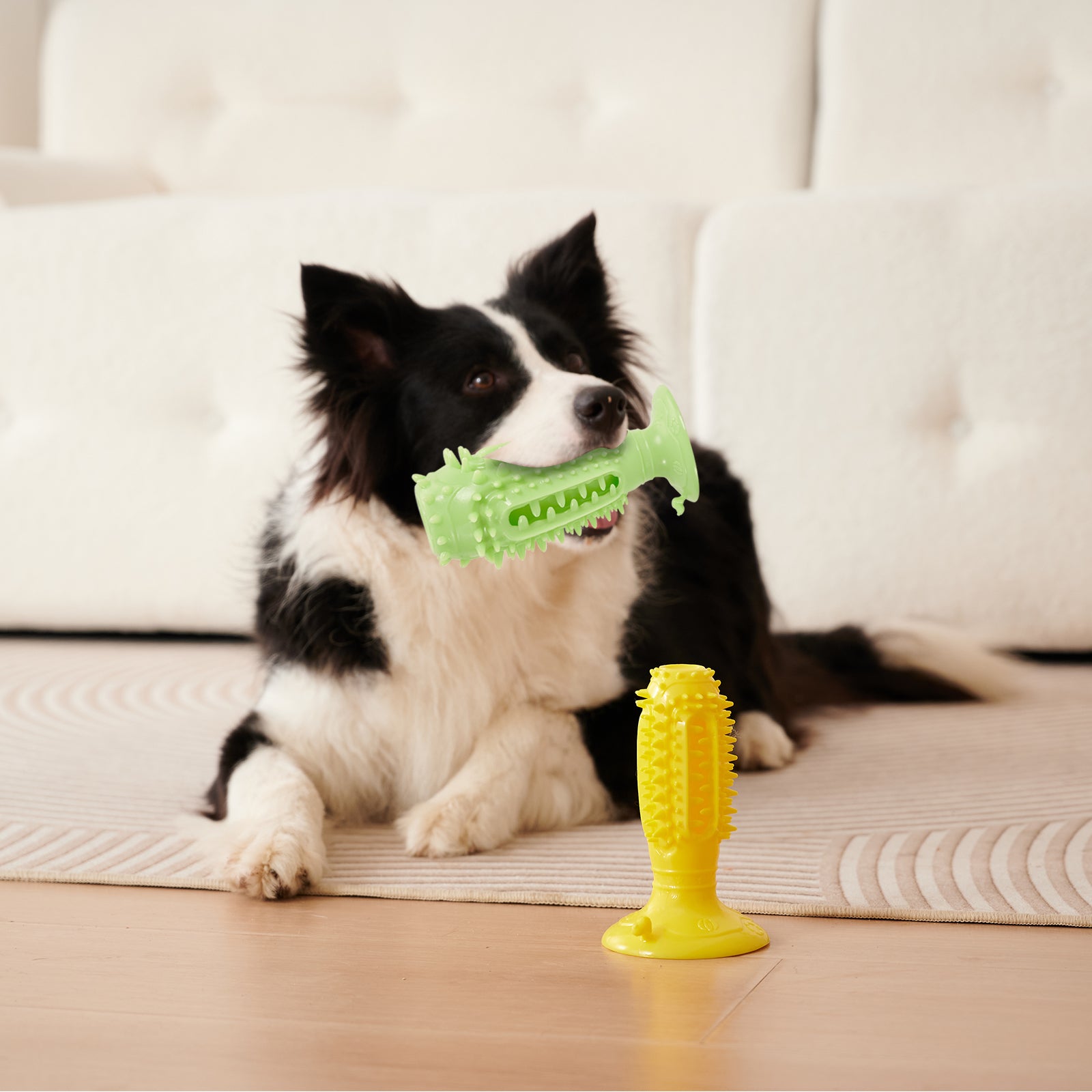 Different Functions Interactive Balls For Dogs Squeaky Dog Balls Toys Pets Gym From House
