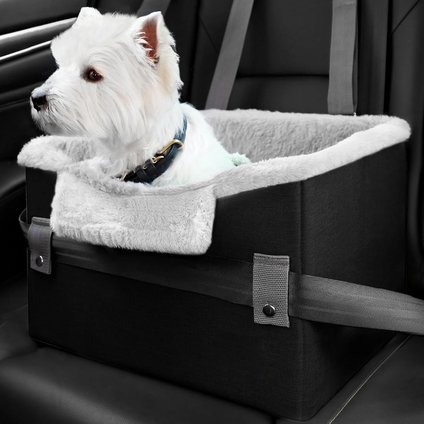 Portable Small Dog Car Seat Dog Booster Seat For Car With Clip-On Safety Leash Perfect For Small Pets Pet Products Pets dealsniper-net Black 40.6x33x28cm