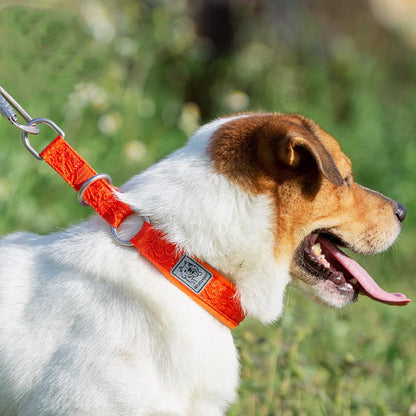 Dog Collar P Chain Dog Walking Collar Collar Artifact Pets dealsniper-net