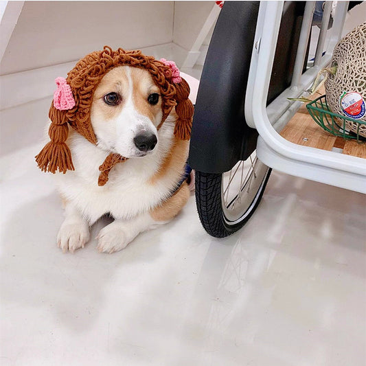 New Pet Hat Cute Style Braid Headgear Spring And Autumn Pets dealsniper-net