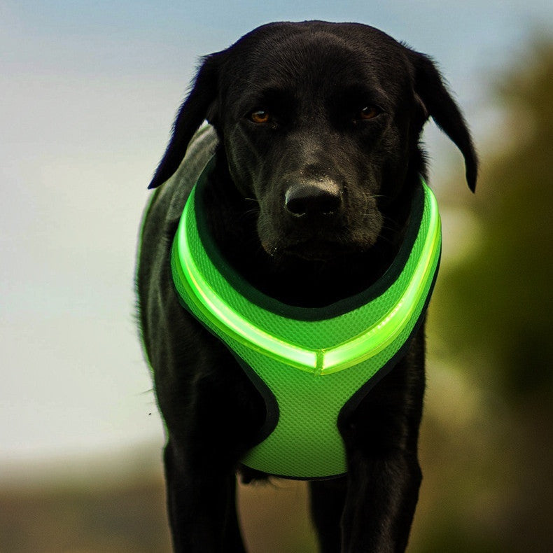 LED Luminous Dog Harness Led USB Charging Dog Chest Vest Pets dealsniper-net