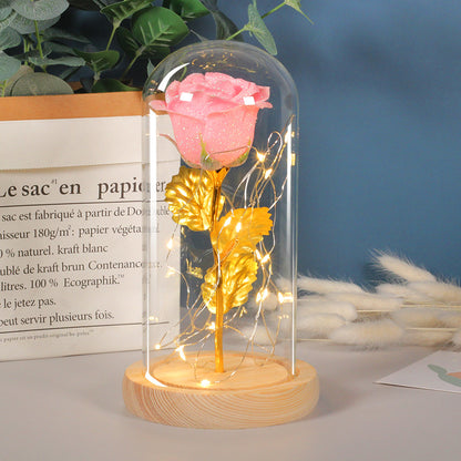 Valentines Day Gift For Girlfriend Eternal Rose Flowers LED Light In Glass Deals DealSniper.net Pink