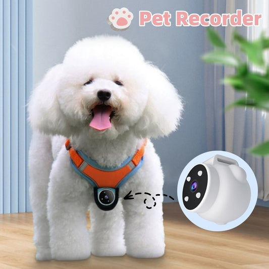 Pets Recorder Pet Tracker Collar Dogs And Cats Viewing Angle Pets dealsniper-net