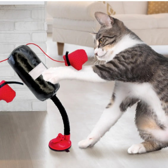 Portable Cat Punching Bag Toy Interactive Indoor Pets Gym From House