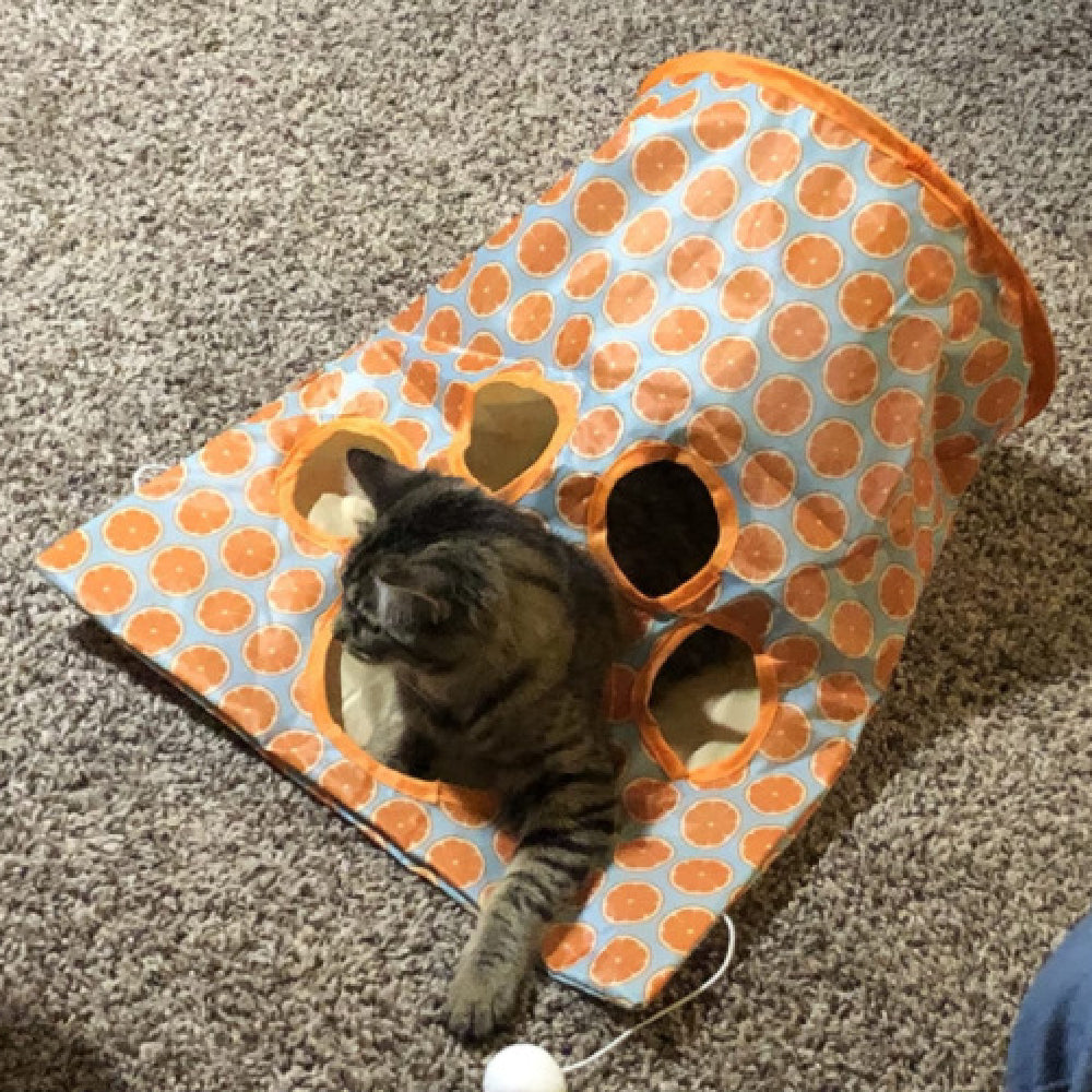 Fashion New Hot Selling Pets Toys Cat Diamond Bag Pets Gym From House