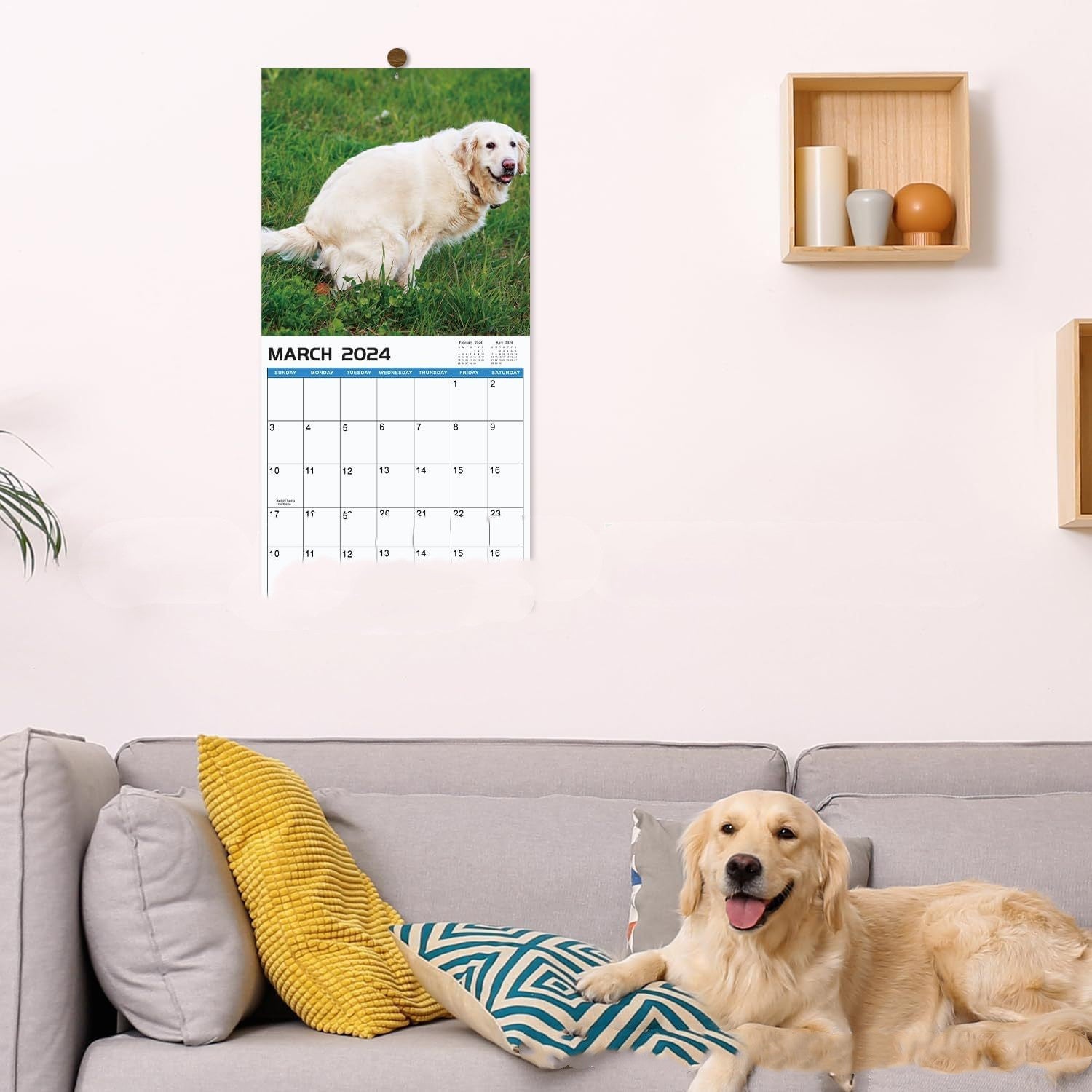 New Year Dog Poop Calendar House Gym From House