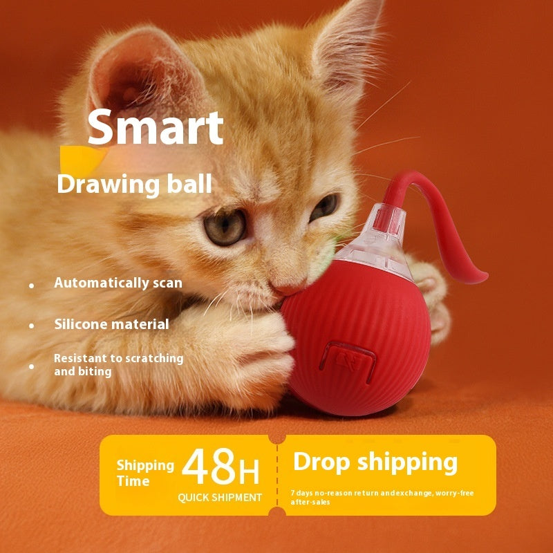 Interactive Cat Toy Ball Super Drive Cat Rolling Ball Pets Gym From House