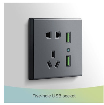 Socket Panel Porous Light Luxury Household Luminous Indicator House dealsniper-net Fivehole dual USB