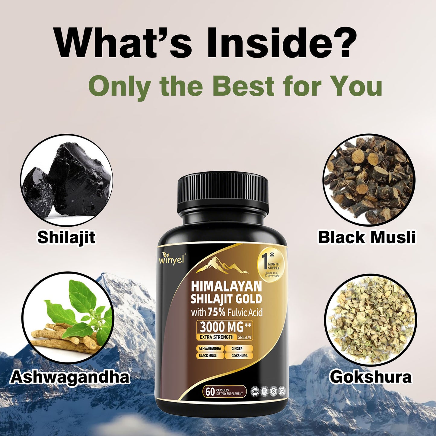 Shilajit Capsules, Ashwagandha Gokshura, 85 Trace Minerals Beauty Gym From House