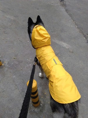 Pet Waterproof Windproof Hood Puppy Raincoat Pets dealsniper-net Yellow 2L