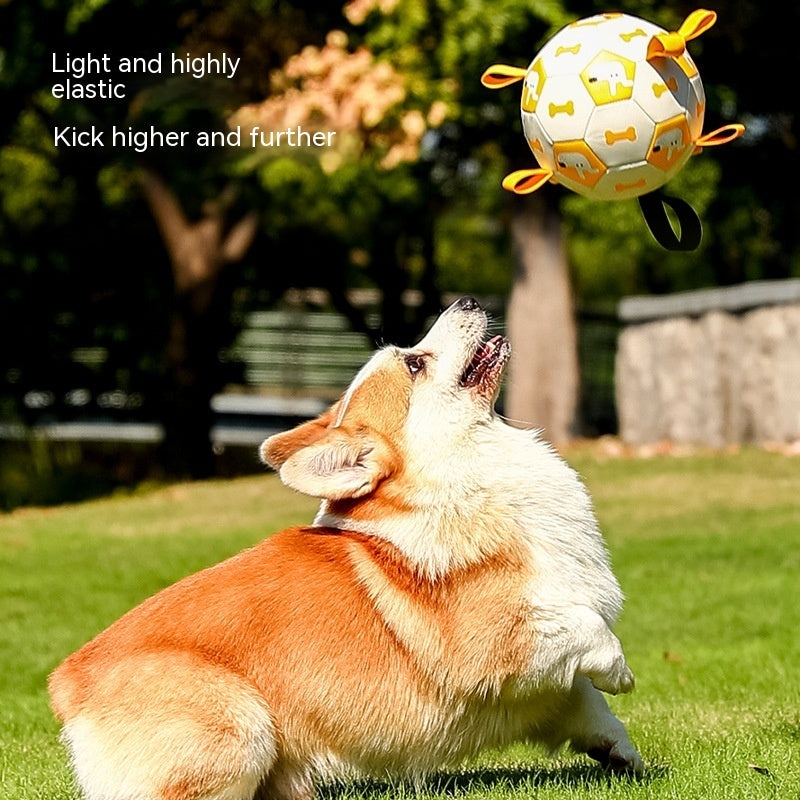 Dog Interactive Football Toys Children Soccer Dog Outdoor Pets dealsniper-net