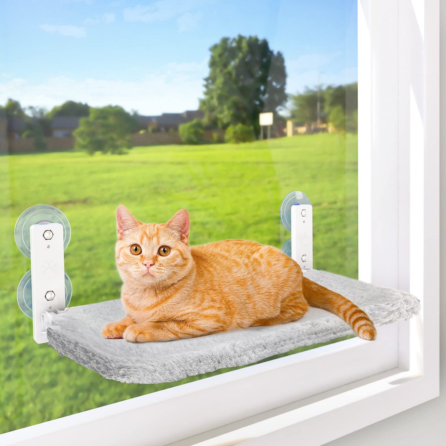 Pet Supplies Cordless Folding Cat Hammock Pets Gym From House