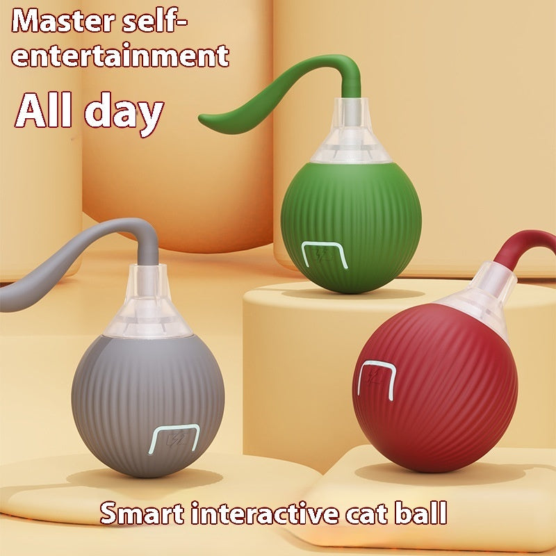 Interactive Cat Toy Ball Super Drive Cat Rolling Ball Pets Gym From House